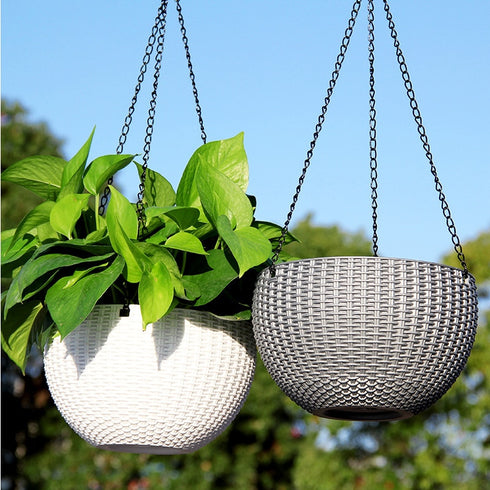 Ampel for various crops